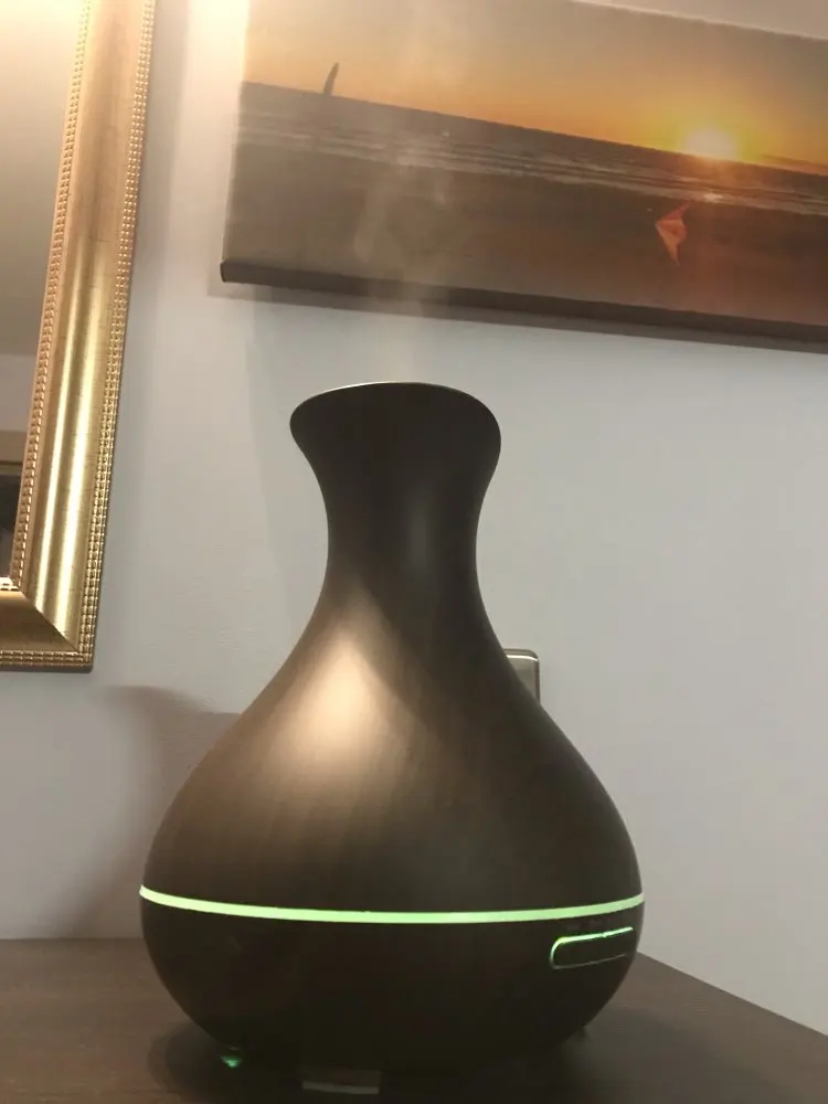 400 ml Aromatherapy Air Humidifier Zen Student