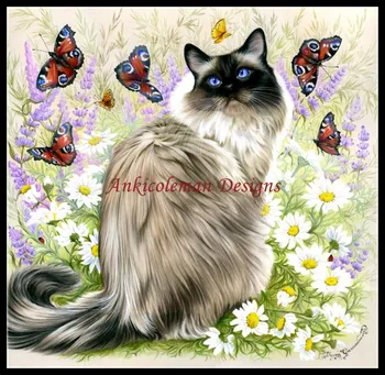 

A Time of Butterflies - Counted Cross Stitch Kits - DIY Handmade Needlework For Embroidery 14 ct Cross Stitch Sets DMC Color