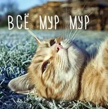 B***k