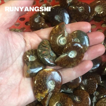 

Spiral Stone Natural and Minerals Conch Shape Stones Brown Stone for Decration High Quality 1 Pc Wholesale Runyangshi SL03