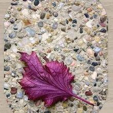 Else Brown Wood Stones Wall on Purple Leaf 3d Pattern Print Non Slip Microfiber Living Room Modern Oval Washable Area Rug Carpet