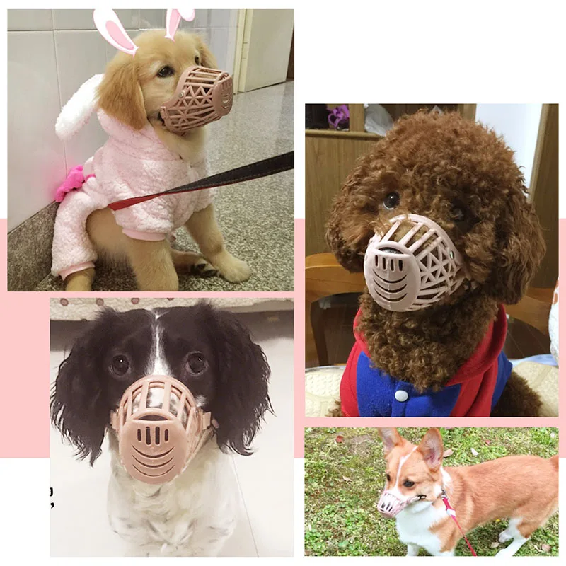 TB2W_rgXvBNTKJjy0FdXXcPpVXa_!!85985179