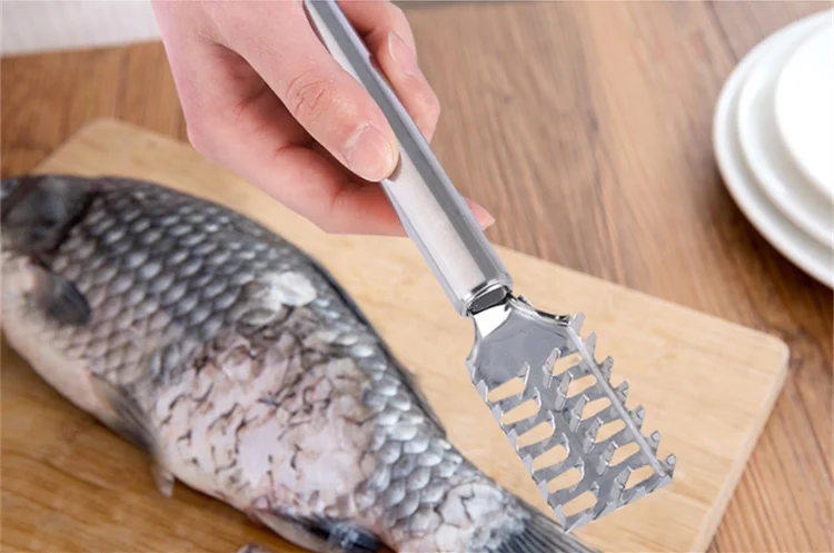 TB2DnoZlolnpuFjSZFjXXXTaVXa_!!264198683_