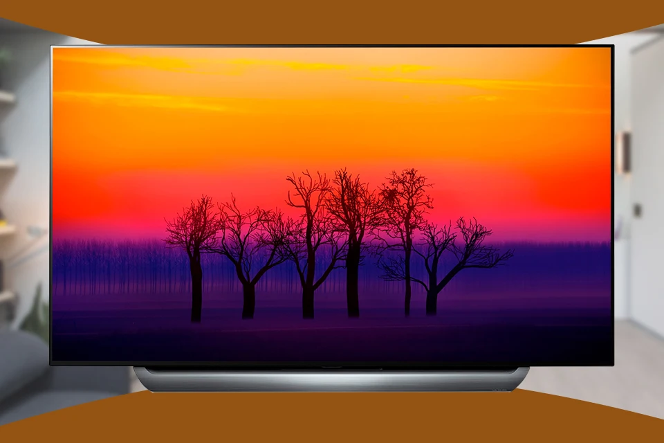 Телевизор 65" LG OLED65C8 4k SmartTV