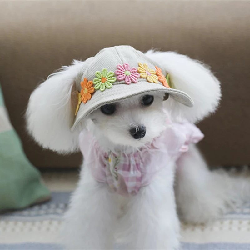 bucket hat for dogs