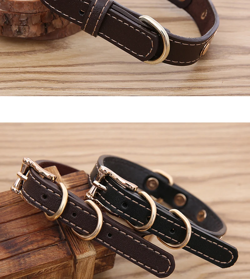 Collar (17)