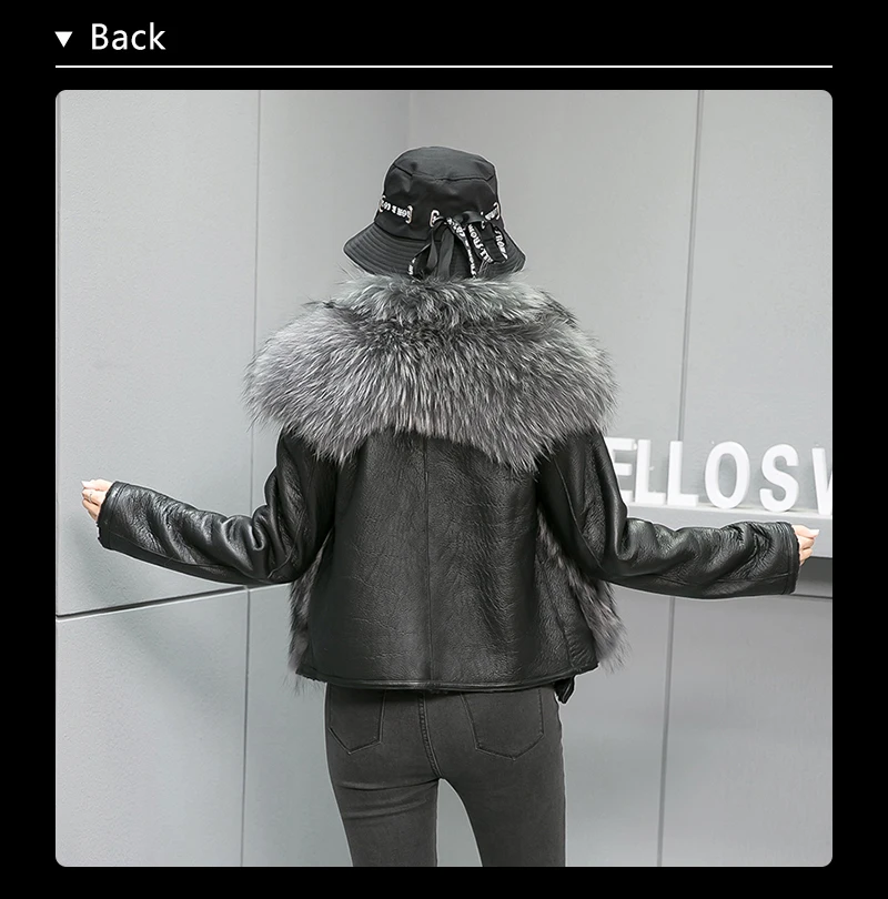 lt---_14
