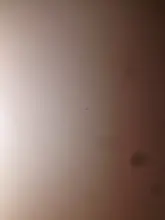 C***y