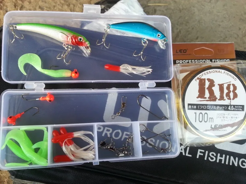 daiwa ballistic x