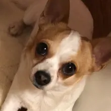 s***e