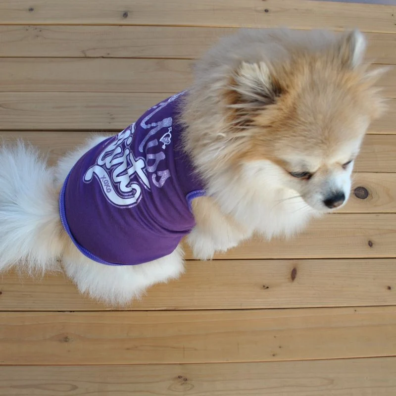 female dog clothes