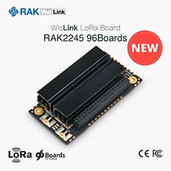 -RAK2248