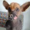 s***r