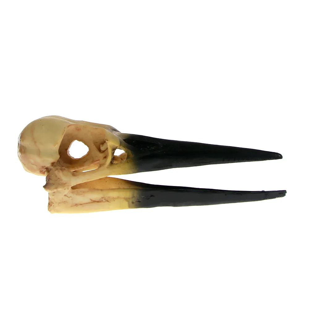 KL-032#02