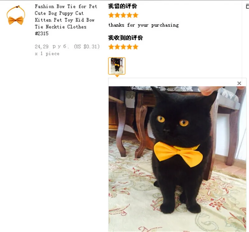 HTB1qP8FMXXXXXa2apXXq6xXFXXXK