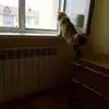 f***j