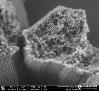 SBA-15 Zeolite/порошок 20 г | Обустройство дома