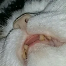 S***o