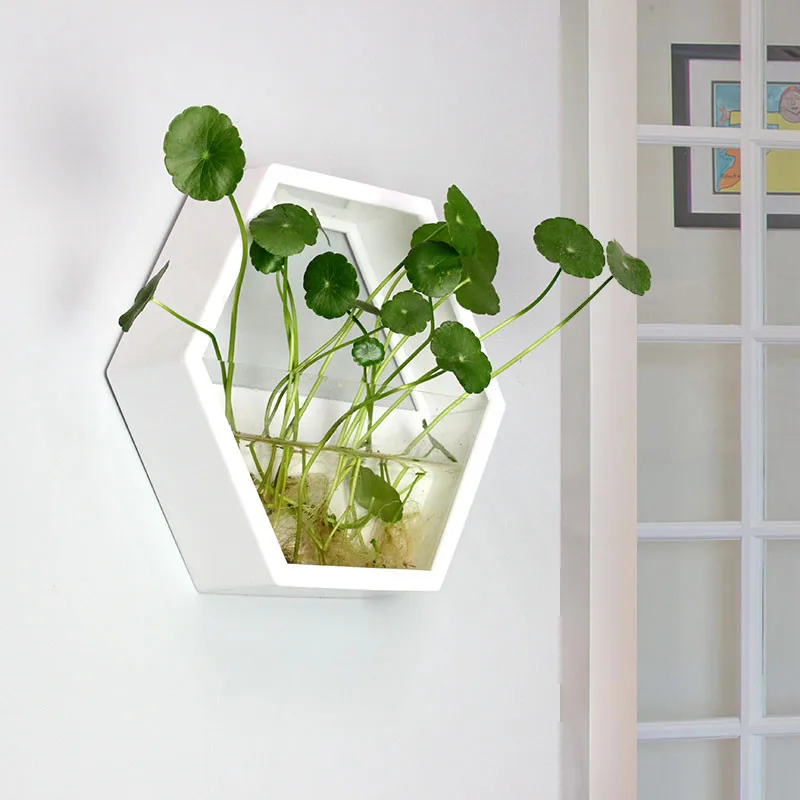 

Hexagon wall hanging acrylic vase,wall acrylics fish tank,wall decor,home decor/house ornament/green gifts for her