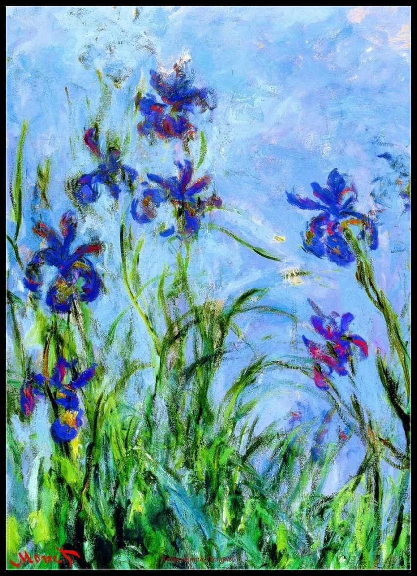 

Counted Cross Stitch Kits Needlework Embroidery - Crafts 14 ct Aida DMC Color DIY Arts Handmade Home Decor - Monet Irises