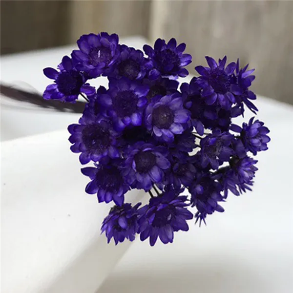150 шт сушеный цветок мини ромашка Астра букет живое растение маленький цветочный для свадьбы DIY украшения дома - Цвет: purple