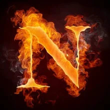 N***S
