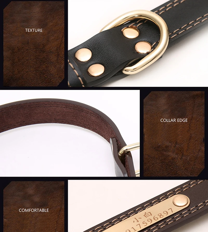 Collar (13)