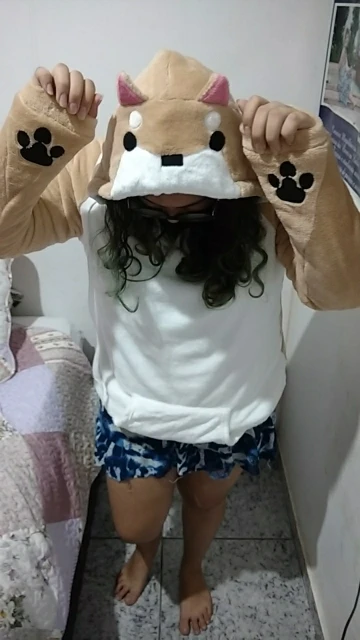 Shiba Inu Plush Hoodies