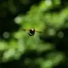 S***k