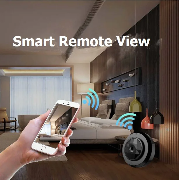 mini remote camera