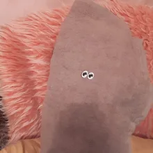 N***v