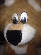 V***y