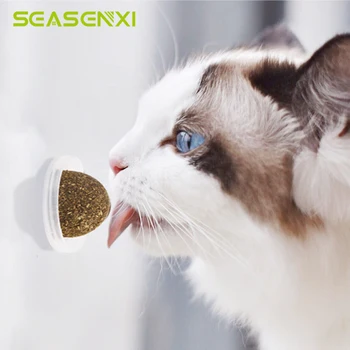 Natural Catnip Healthy Treating Cleaning Teeth Supplies