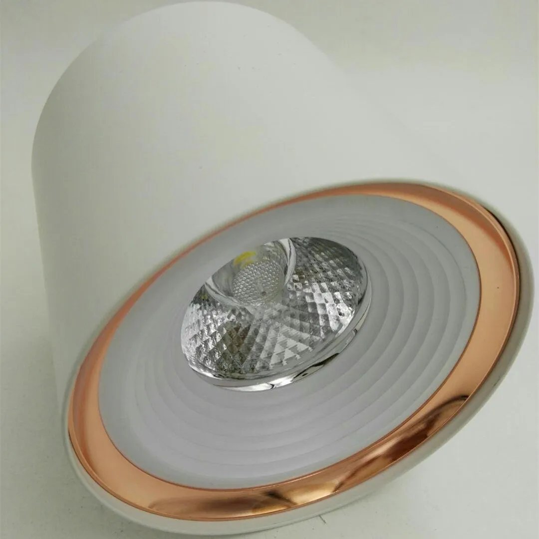 

surface light recessed-ceiling-light downlight spot lamp warm 10w led downlight cob 30% off