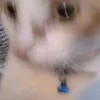 f***e