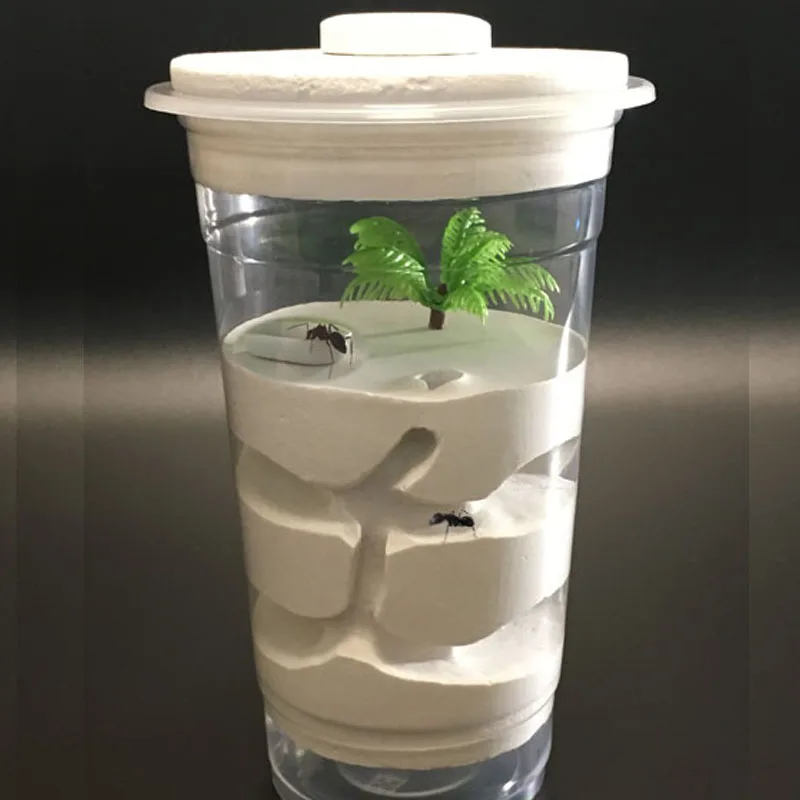 

Plaster DIY Ant Farm With Big Space Moisture Feeding Workshop Area Ant Nest Ecologic Pet Insect Mania Ant Villa House Colony
