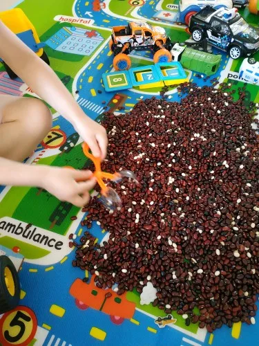 Ocobudbxw Rettile Anfibio Alimentazione Lettiera Cacca Morsetto per Pulizia Pinzette per Insetti Strumento per Clip