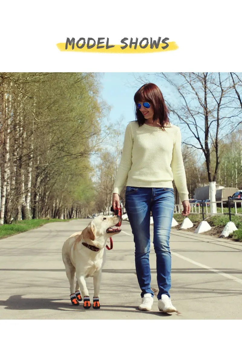 clothes and shoes for dogs