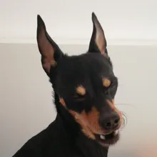 C***a