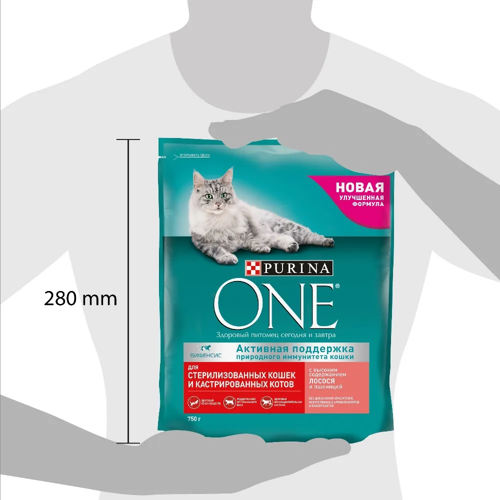 Сухой корм Purina ONE для стерилизованных кошек и котов с лососем и пшеницей, 6 кг