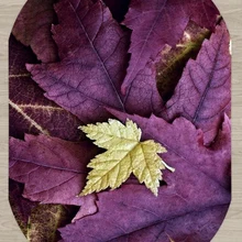 Else фиолетовый сикамор листья на желтом листе цветочный 3d принт Нескользящая микрофибра гостиная современный Овальный моющийся ковер