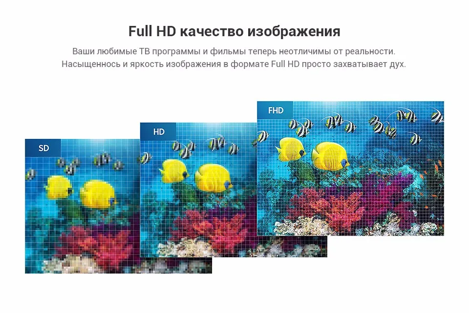 PC (5)