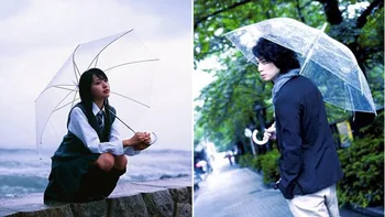 

50PCS Fedex Free Wholesale Transparent Umbrellas Clear PVC Umbrellas Long Handle Umbrellas Rainproof