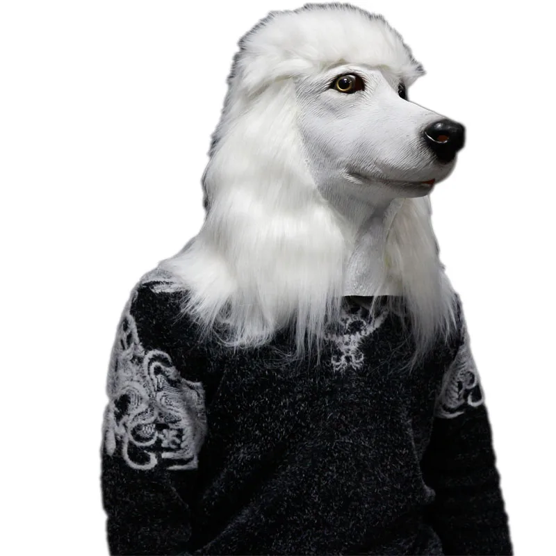 poddle1