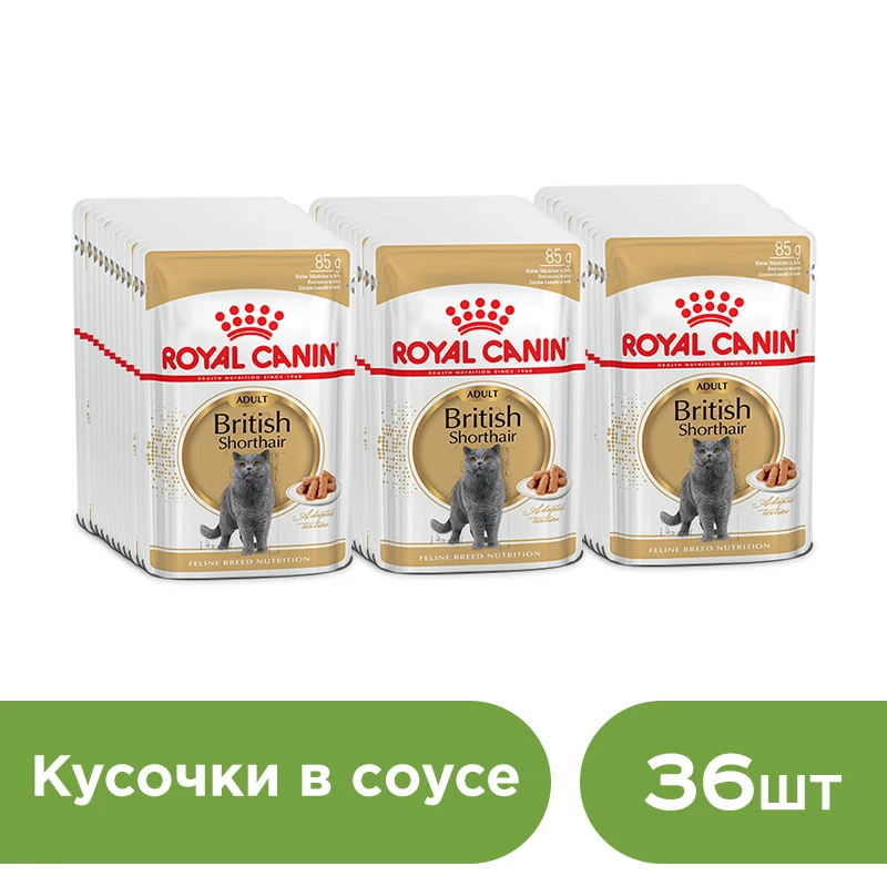 Cat wet food Royal Canin British Shorthair Adult slices in sauce (0.085 kg*36 pieces) Cat wet food Royal Canin British Shorthair Adult slices in sauce (0.085 kg*36 pieces)