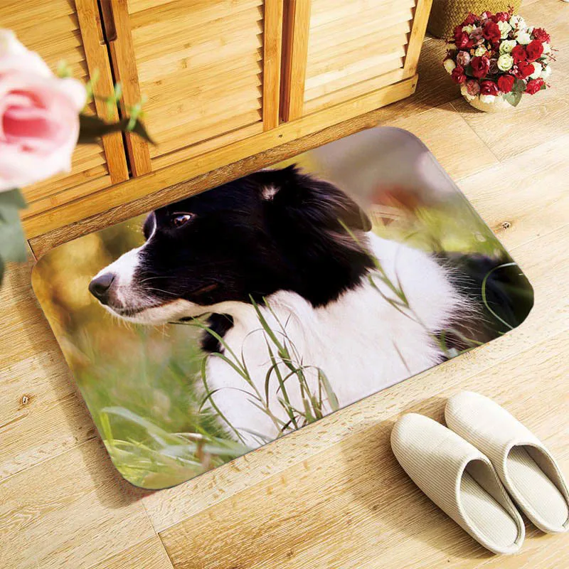 

40x60cm Welcome Mat cute Border Collie Dog Absorbent Non Slip Durable Door Mat Machine Washable Entrance Mat for indoor outdoor
