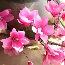 2018 New Natural Looking Silk Magnolia vine Wedding Flower Wreath Garland Base Rattan Vine Ornaments Decoration Free Shipping