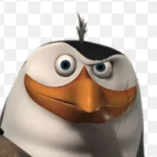 D***v