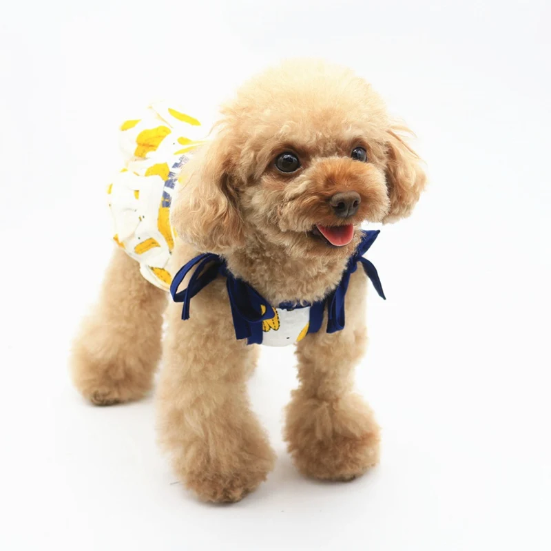 doggie dresses