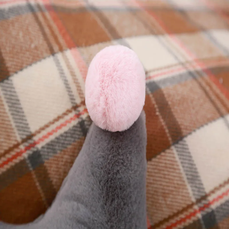 (2)